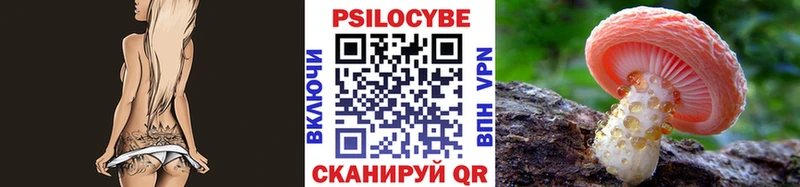 Купить закладки  Знаменск  Псилоцибиновые грибы мицелий 